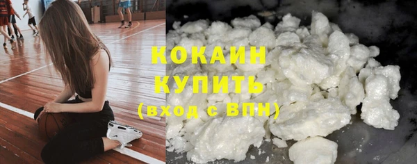 гашик Балахна