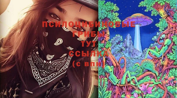 гашик Балахна
