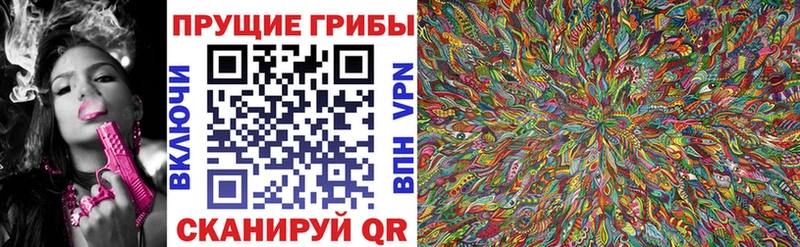 Галлюциногенные грибы прущие грибы  Красный Холм 